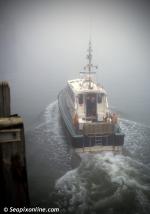 ID 7104 PROTECTOR - Harbourmasters/Southampton Patrol launch, Southampton in thick fog passes close in along the western docks.
