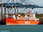 ID 7306 BAHIA CASTILLO (2007/41483gt/IMO 9362401.  Renamed SPIRIT OF SHANGHAI in 2013) loading in Auckland