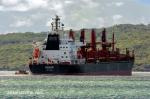 ID 11720 LUCHOW (2015/24785grt/39728dwt/IMO 9715218) - China Navigation's bulk carrier outbound from Auckland following her maiden call, with the Ports of Auckland pilot launch WAKATERE alongside, next port,...