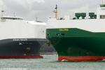 ID 11221 HOEGH TRACER (2016/76420grt/21983dwt/IMO 9684990) - the third Post Panamax vessel of Hoegh Autoliners six Horizon-class pure car and truck carriers, arrived in Auckland as Wallenius-Wilhelmsen's 265m...