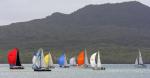 ID 13415 2024 HARBOUR CLASSIC YACHT RACE - entrants passing the volcanic Rangitoto Island.