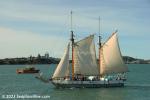 ID 12995 TED ASHBY built by staff and volunteers at the New Zealand Maritime Museum here in Auckland was launched in 1993. 
She is a ketch-rigged deck scow, a replica of those scows so typical of the types of...