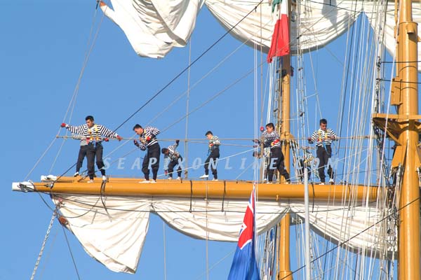 Cuauhtemoc, Celaya 8107505 ID 3471