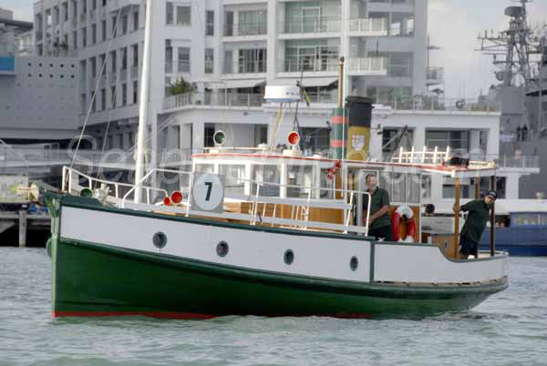 Bondi Belle ID 5109