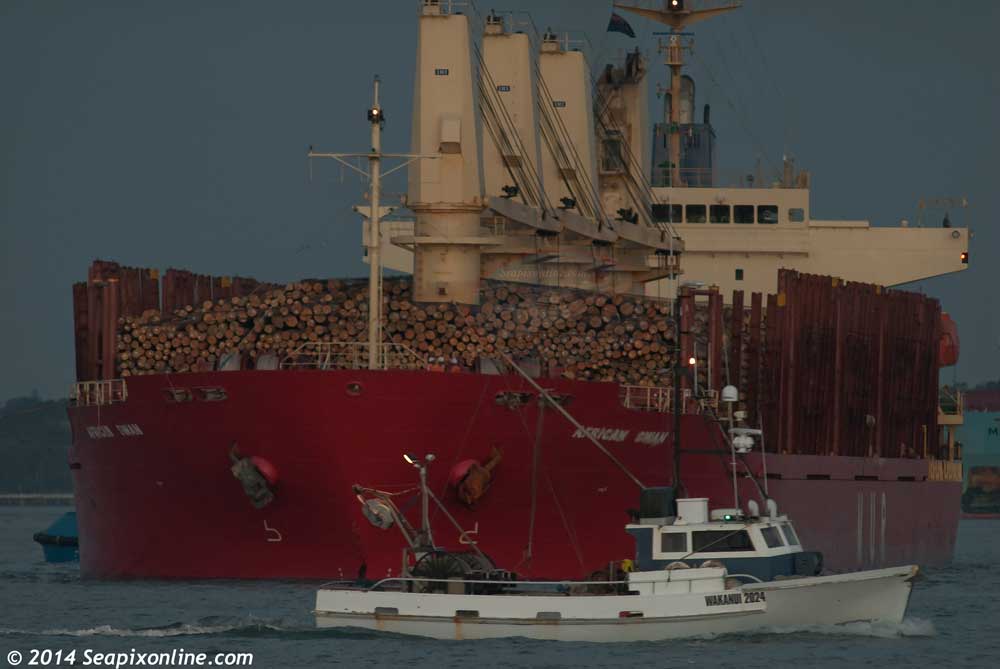 African Swan, Orient Bulker, Wakanui (IS2024) 9303364 ID 9514