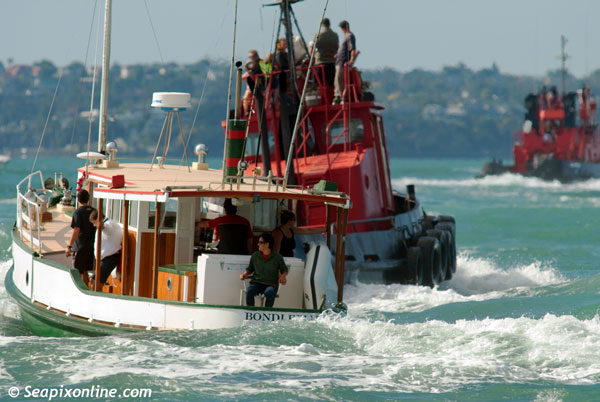 Bondi Belle, Mahia, Christine Mary ID 8611
