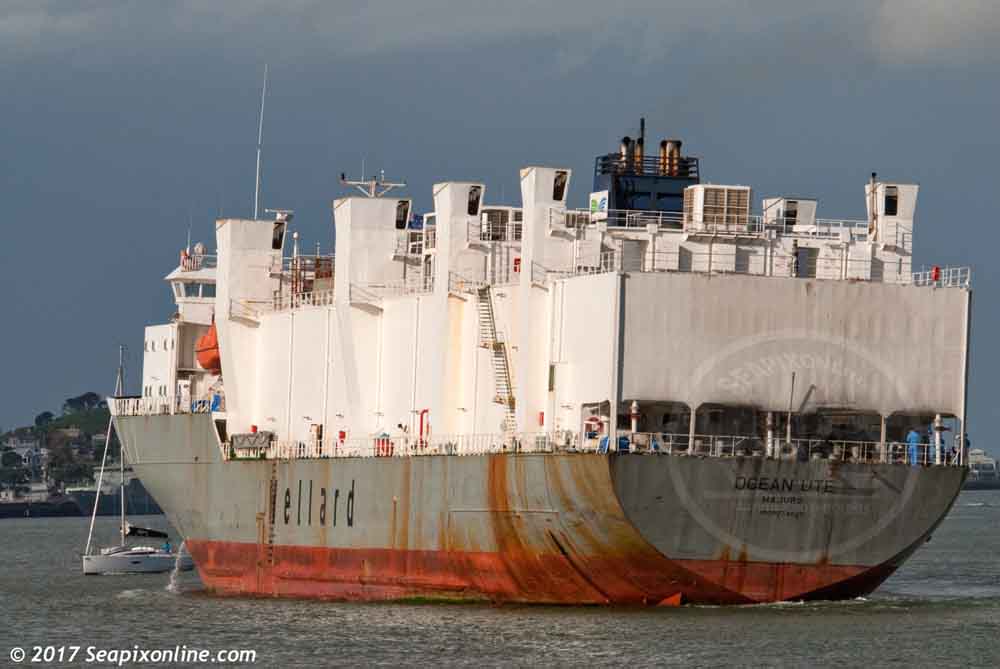 Ocean Ute, Niuyang Express, Pearl of Para, Reggeborg, Gascogne, CMA CGM Gascogne 9074925 ID 10918