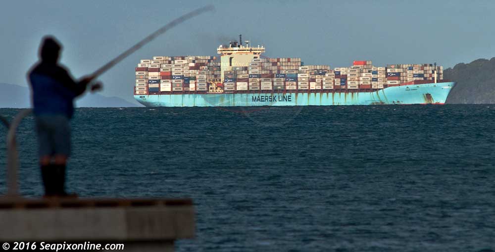 SALLY MAERSK (1998/92198grt/110387dwt/IMO 9120865) - one of Maersk S-class container ships, drops anchor at Gulf anchorage 6 to take on bunker fuel while en-route from the Port of Tauranga to Guangzhou, China. She is new to New Zealand waters, being one of the S-class to now sail Maersk's South America-N Asia service. She was bunkered at anchor as she is too large to be able to get into port in Auckland. Pictured here, she is anchored around 12.5kms from the camera and the camera equipped with a 1000mm telephoto lens. 16 October 2016. Photo by Â© 2016 SeapixOnline.com