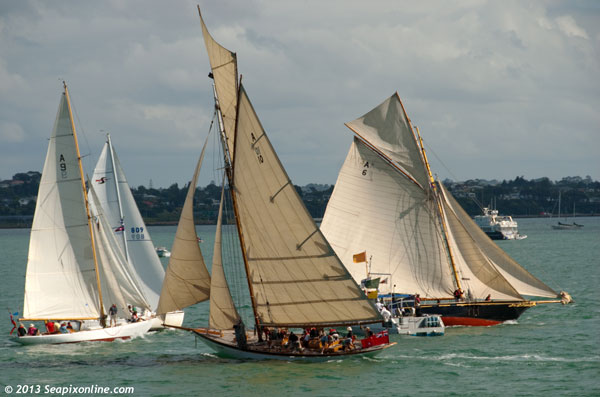 Waitangi, Princess, Moana, Thelma ID 8745