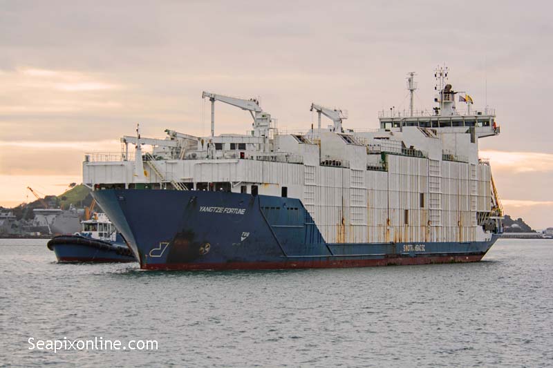 Yangtze Fortune, Zaan Trader, SITC Fortune, Medadriatica 9336282 ID 11885