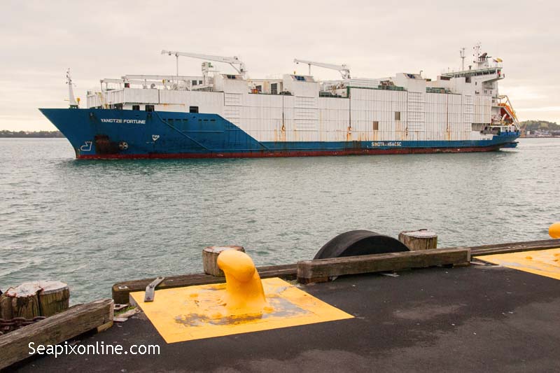 Yangtze Fortune, Zaan Trader, SITC Fortune, Medadriatica 9336282 ID 11887