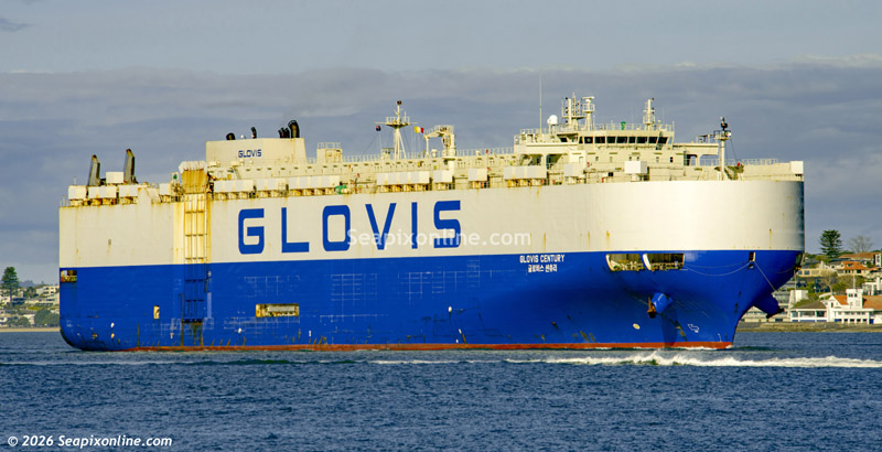Glovis Century 9590589 ID 14730
