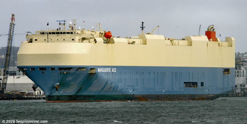 Marguerite Ace 9426386 ID 14740