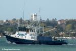 ID 7039 KARINA B - a Whitianga-registered trawler, operated by the Tuna Fishing Company Ltd, outbound from Auckland. 