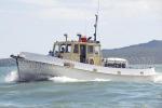 ID 4423 RAWINIA - built in 1961 as a pilot boat for the port of Taranaki. She is seen here making for the finish line of the 168th Auckland Anniversary Day Regatta tug race.