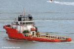 ID 7138 SWIBER TORUNN (2008/1537gt/IMO 9502166) a Marshall Islands-flagged offshore supply vessel/tug sails from Auckland bound for Tauranga where she has been assisting with the salvage operation of the...