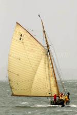 ID 5186 WAITANGI (A6) a 22.56m gaff-cutter built in 1894 by Logan Brothers of Auckland, New Zealand, in a stiff breeze on Auckland's Waitemata Harbour.