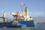 ID 6112 WAIPAPA (2000/338grt/IMO 9212072) at stern of an inbound bulk carrier, Auckland, New Zealand.