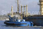 ID 6113 WAKA KUME (2000/338grt/IMO 9212084) at the bow of an inbound bulk carrier, Auckland, New Zealand.
