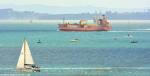 ID 11218 BUFFALO (1998/6311grt/9092dwt/IMO 9149201) - the colourful Holcim-owned cement carrier brightened up an otherwise drab waterfront during her few weeks here in Auckland. She departed yesterday for more...
