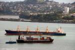 ID 7386 FORUM PACIFIC (1985/2800gt/IMO 8506452, ex-CHARELLE, SOFRANA BLIGH, ANL TRADER, TARMSTEDT. Renamed REEF EXPRESS) arrives in Auckland, NZ and passes the outbound bulk carrier CAPE NELSON...
