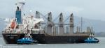 ID 8863 GLOBAL STANDARD (2010/17018grt/28389dwt/IMO 9550199) - inbound to the Chelsea Sugar Refinery, Auckland from Mourilyan, Queensland, Australia.
