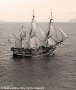 ID 8848 HMAV BOUNTY replica (1978/274tonnes/387 tonnes disp) built in Whangarei, New Zealand for the film 