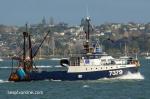 ID 11923 IKAWAI (IMO 7816202, Reg. No: 7379) - a Sanford Fisheries trawler seen inbound at Auckland.