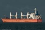 ID 8993 JEWEL OF NIPPON (2009/31572grt/56300dwt/IMO 9476288) rounds North Head as she sails from Aucklands' bound for China with a full load of ironsand.