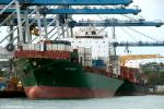 ID 7631 LISA SCHULTE (2006/35975gt/IMO 9309277, ex-CSAV PANAMBY) loading at Auckland's Fergusson Container Terminal, New Zealand.
JPO SCORPIUS is one the far berth.