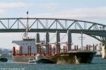 ID 9117 LUCKY LIFE (2013/16991grt/28197dwt/IMO 9668336) - inbound after a passage from Guatemala, she leaves the Auckland Harbour Bridge astern as she makes for her berth at the Chelsea Sugar Refinery on the...