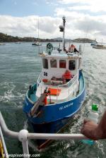 ID 8627 GLADIATOR on collision course with the veteran steam tug WILLIAM C. DALDY after the conclusion of the 2013 Auckland Anniversary Regatta tug race. Not content with having again terrorised the...