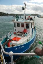 ID 8628 GLADIATOR on collision course with the veteran steam tug WILLIAM C. DALDY. Not content with having again terrorised the passengers aboard the old steam tug with their water-balloon catapults, they...