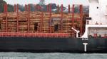 ID 10511 SEN TREASURE (2013/29029dwt/IMO 9634907) - a shipment of China-bound logs loaded at the port of Napier, departs Auckland after a short bunkering stopover.