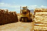 ID 7996 PORT OF TAURANGA, BAY OF PLENTY, NEW ZEALAND - Log loading operations.