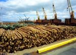 ID 7991 PORT OF TAURANGA, BAY OF PLENTY, NEW ZEALAND - Log loading operations.