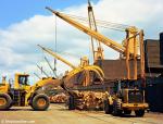 ID 7992 PORT OF TAURANGA, BAY OF PLENTY, NEW ZEALAND - Log loading operations.