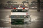 ID 10550 TIGER CAT - Built in 1995, a 22m, 148 passenger capacity  commuter ferry operated as part of the Fullers Ferries fleet in Auckland. Seen here approaching Birkenhead Wharf on Auckland's North Shore...