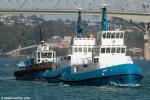 ID 7522 DALDY (1977/226grt/IMO 7519127), TAMAKI (1972/221grt/IMO 7226550) and WAKA KUME (2000/338grt/IMO 9212084)- three of the Ports of Auckland tug fleet parade to the start line of the 2012 Auckland...