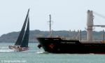 ID 7800 VAN ORCHID (2009/17018grt/28341dwt/IMO 9553141) inbound from Brisbane, Australia rounds North Head as she arrives in harbour at Auckland, NZ. She was greeted by a busy harbour hosting the 2012 Volvo...