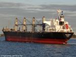 ID 7822 VAN ORCHID (2009/17018grt/28341dwt/IMO 9553141) outbound from Auckland, New Zealand following her maiden call.