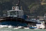ID 9951 WAIPAPA (2000/338grt/IMO 9212072) - Sometimes even experienced photographers can get a little too close for comfort. There is actually more separation than it looks. It looks close due to the use of a...