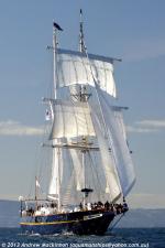 ID 9149 YOUNG ENDEAVOUR - a Australian brigantine-rigged tall ship built in 1986/7 by Brooke Marine of Lowestoft, England as a gift from the UK to Australia on the occasion of that country's bicentenary in...