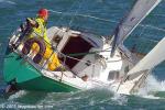 ID 12615 CHARTREUSE, a private sailboat, arrives in Auckland.