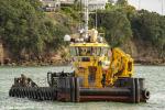 ID 14518 IONA M - a tug/utility vessel operated by Heron Construction of Auckland, get ready for the 20026 Anniversary Day tug race.