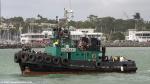ID 13865 KORAKI (1985/125grt/IMO 8868484, ex-SEA TOW 21) - now in the colours of Total Marine of Auckland was built by Marine Steel of Auckland and based on a North American design. At just under 20m in length...