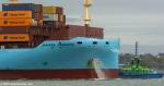ID 13934 MAERSK YOSEMITE (IMO 9943102/42799gt/49935dwt/TEU 3500) - launched in January 2024, arrived in Auckland, NZ this afternoon for her maiden call at the end of a cross-Pacific passage from Long Beach,...