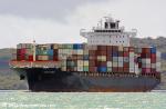 ID 12496 NAVIOS MIAMI (2009/41358grt/51737dwt/4255TEU/IMO 9445588, ex-ANL WARRAGUL, CPO MIAMI, UASC KHOR FAKKAN, KHOR FAKKAN) inbound to Auckland from  Brisbane, Australia. She is operated by COSCO Shipping...