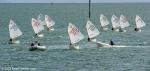 ID 12789 OPTIMIST racing, Narrow Neck Beach (Wakatere Yacht Club), Auckland.