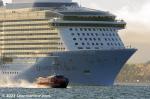 ID 12955 Royal Caribbean's 348m long QUANTUM OF THE SEAS (2014/IMO 9549463/168666gt) made her maiden call at Auckland today arriving in port from Tauranga just after sunrise. 
She is the second of RCL's...